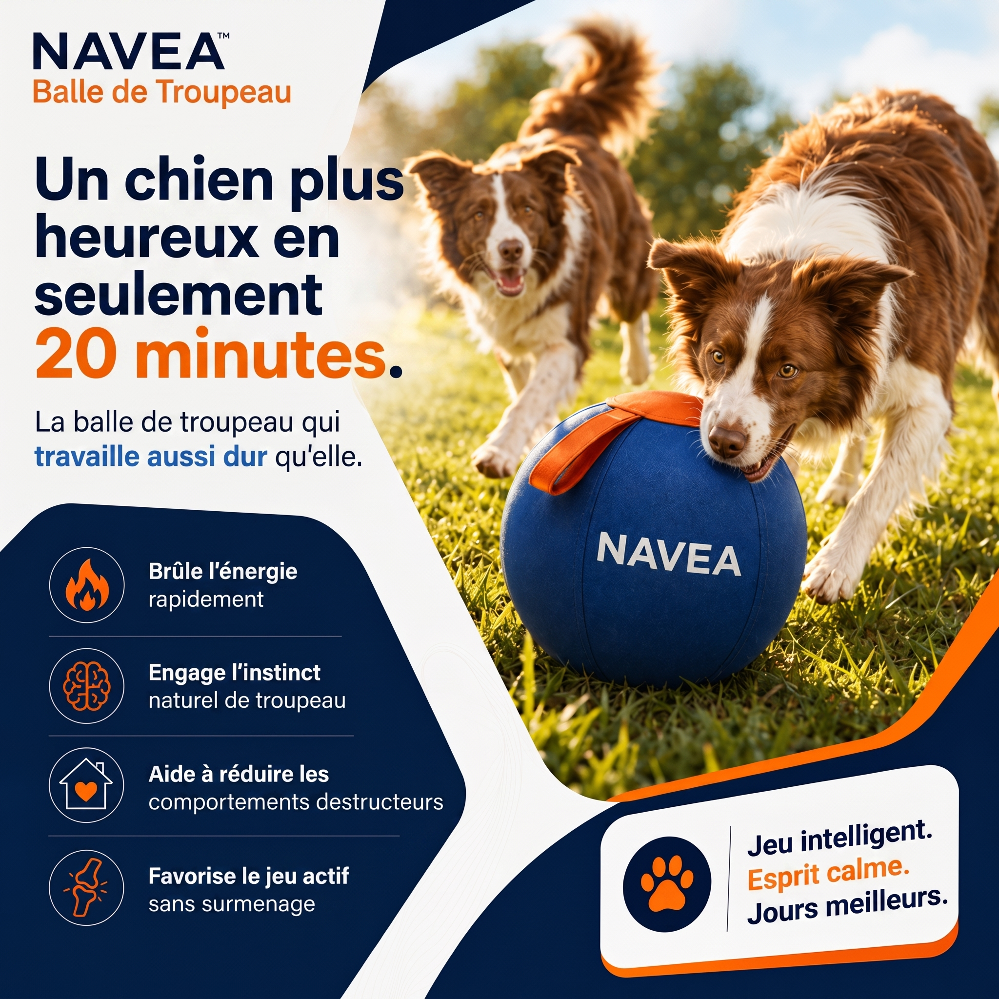 Navea™ Balle Géante