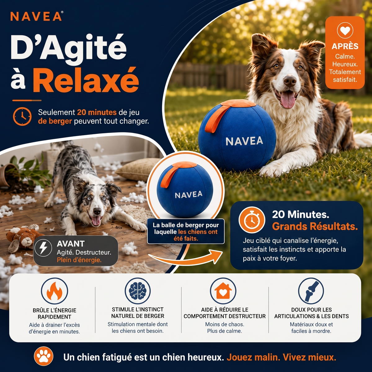 Votre chien ne fait pas de bêtises.